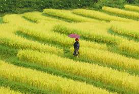 du lich xuyen viet, du lich sapa